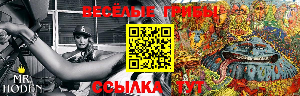 Галлюциногенные грибы Cubensis Краснодар