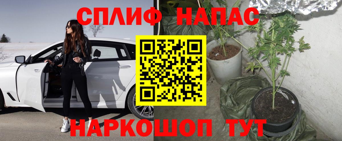 Краснодар  Шишки марихуана THC 21%  Вход с VPN  Шишки марихуана OG Kush 